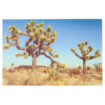 Joshua Trees