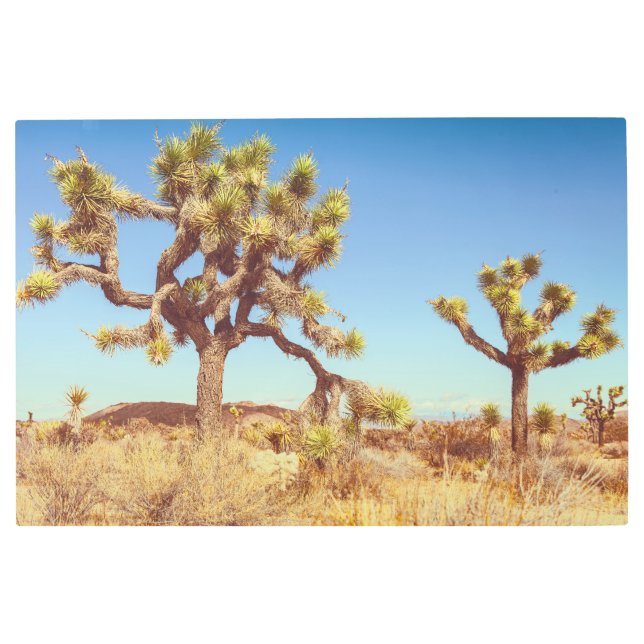 Impresión En Metal Joshua Trees (Anverso)