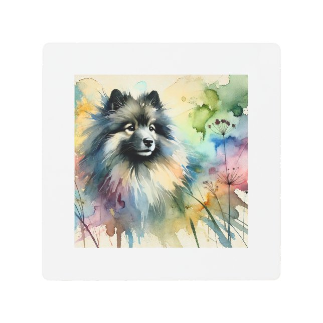 Impresión En Metal Keeshond in Watercolor 150624AREF123 - Watercolor (Anverso)