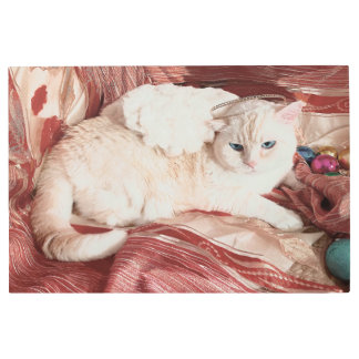 Impresión En Metal Kitty Angel