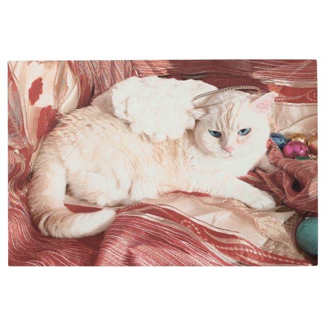 Impresión En Metal Kitty Angel (Anverso)