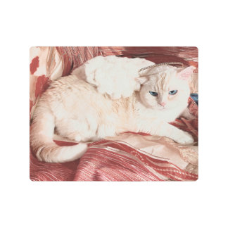 Impresión En Metal Kitty Angel