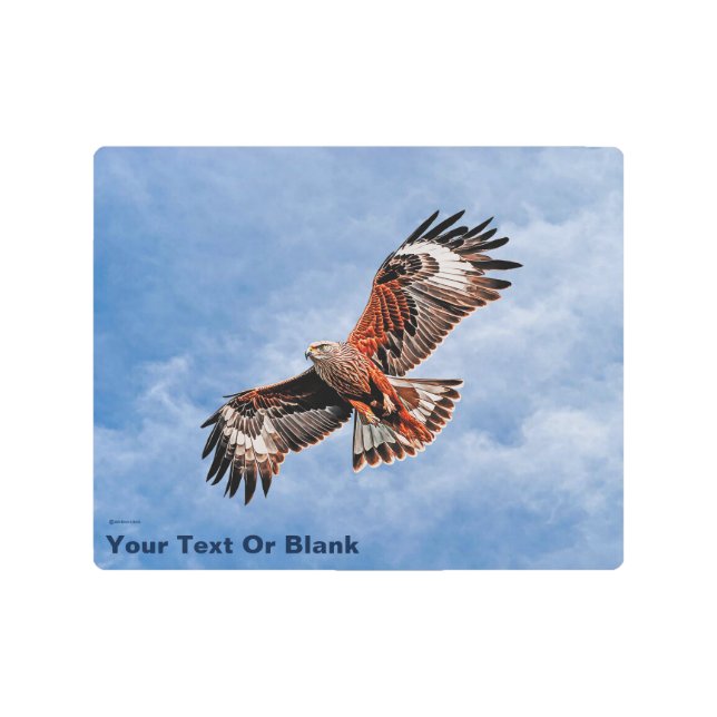 Impresión En Metal La cometa roja en aumento (Anverso)