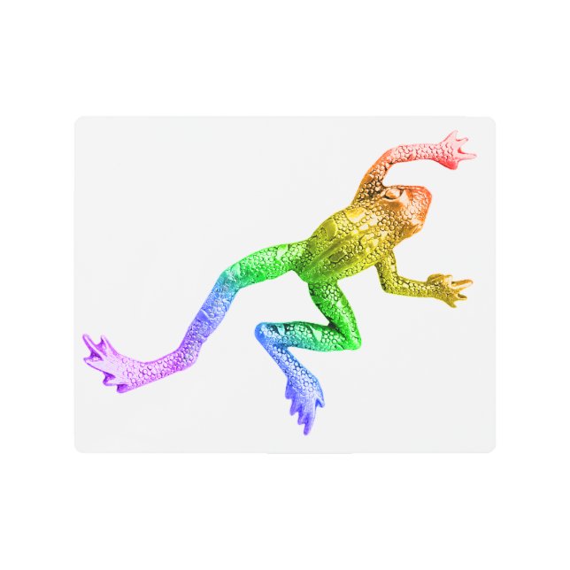 Impresión En Metal La estatua de rana del Orgullo de SlipperyJoe Vibr (Anverso)