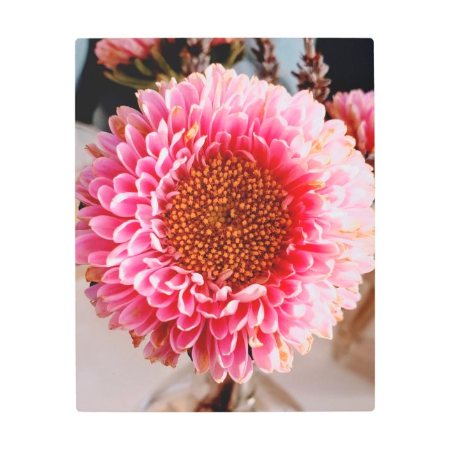 Impresión En Metal La flor rosa (Anverso)