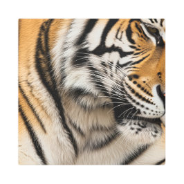 Impresión En Metal la impresionante superficie de piel de tigre