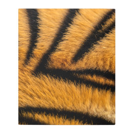 Impresión En Metal la impresionante superficie de piel de tigre