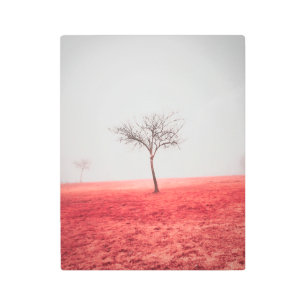 Impresión En Metal La joya oculta de Georgia: Rhodes Jordan Park Wall