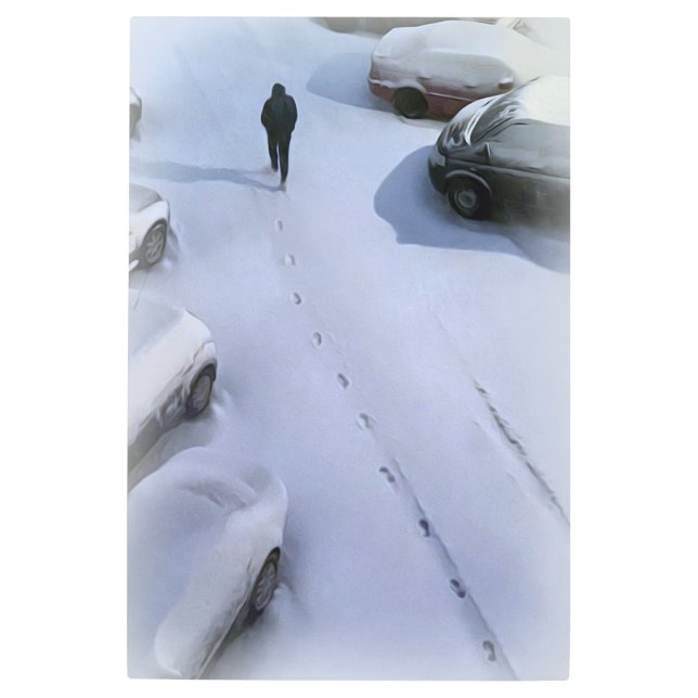 Impresión En Metal La nueva nieve (Anverso)