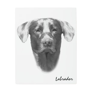Impresión En Metal Labrador Perro personalizable fresco