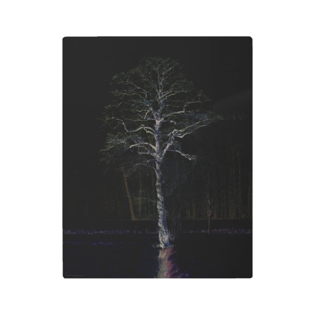 Impresión En Metal Lado oscuro 3 11x14 (27,5x35cm) wamecna (Anverso)