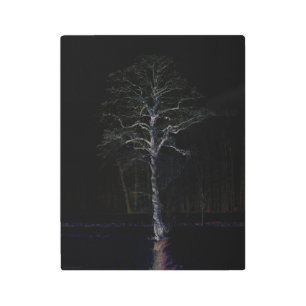 Impresión En Metal Lado oscuro 3 11x14 (27,5x35cm) wamecnm