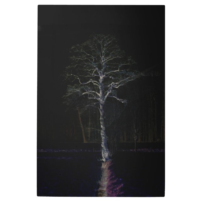 Impresión En Metal Lado oscuro 3 24x36 (60x90cm) wamecnm (Anverso)