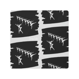 Impresión En Metal Lago Swan