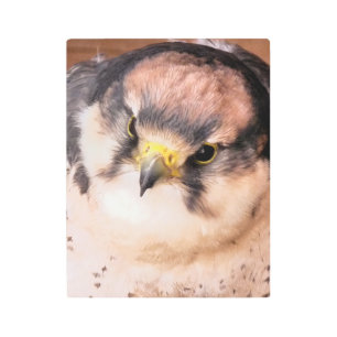 IMPRESIÓN EN METAL LANNER FALCON BIRD