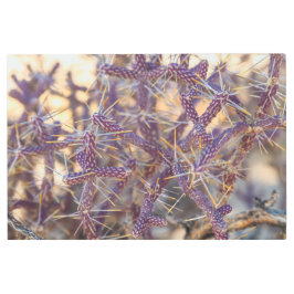 Impresión En Metal Lápiz Cholla