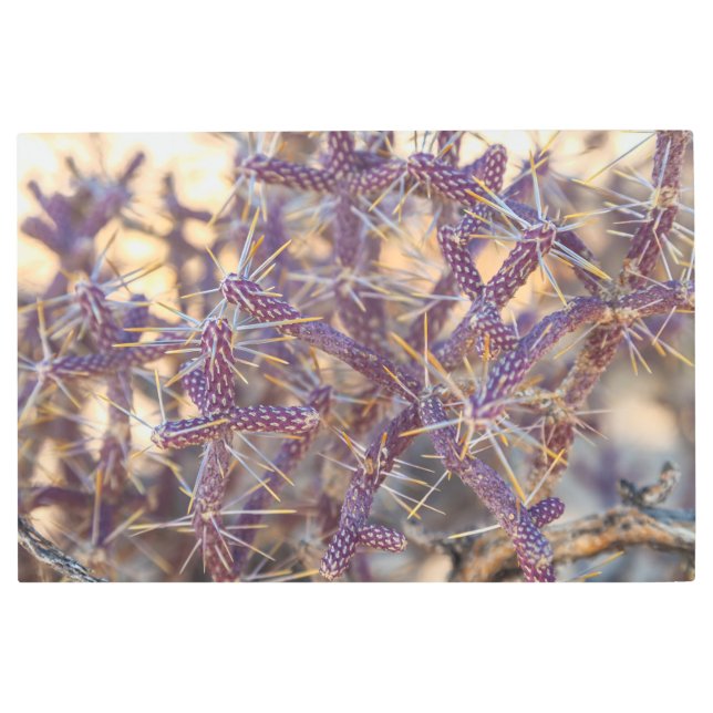 Impresión En Metal Lápiz Cholla (Anverso)