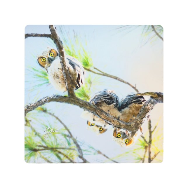 Impresión En Metal Las divertidas y grandiosas lechugas de cuerno est (Anverso)