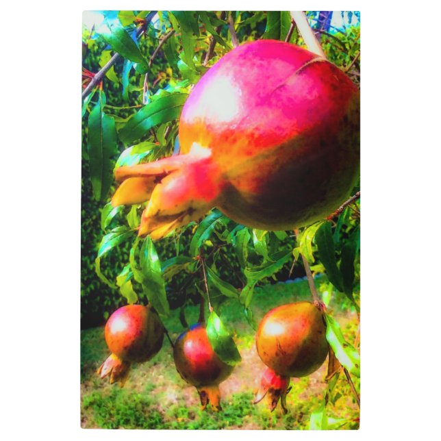 Impresión En Metal Las granadas del árbol (Anverso)