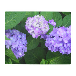 Impresión En Metal Lavanda de 20"x16" Hydrangea
