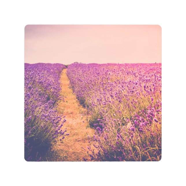 Impresión En Metal Lavander (Anverso)