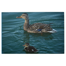 Lección de natación