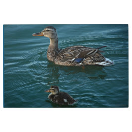 Impresión En Metal Lección de natación