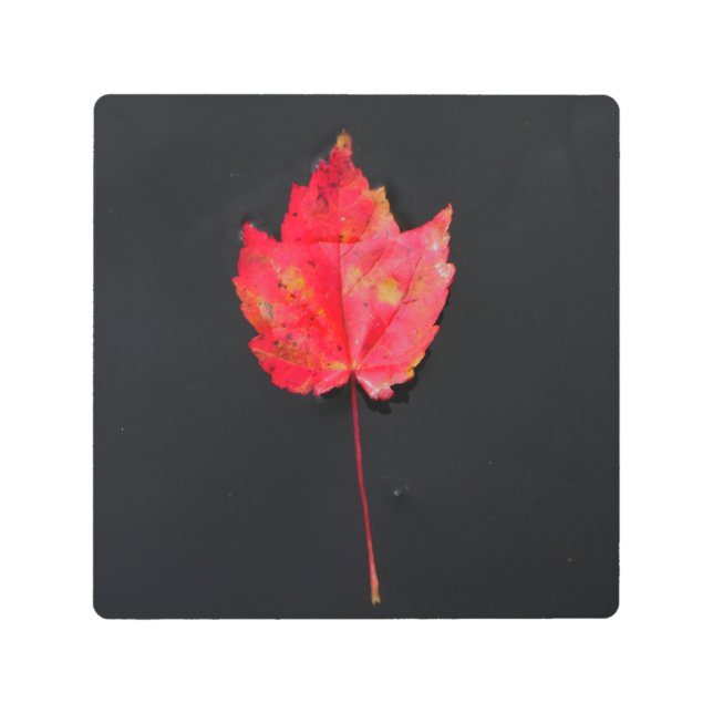 Impresión En Metal Leña roja de tallo largo (Anverso)