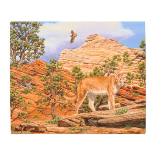 Impresión En Metal León De La Montaña Cougar En El Parque Nacional De