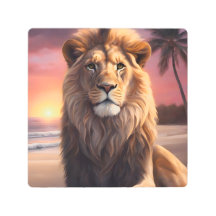 León en la playa
