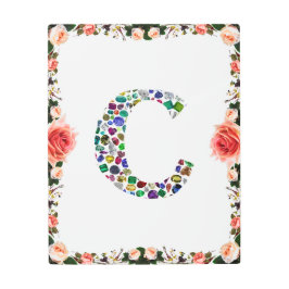 Impresión En Metal Letra inicial C