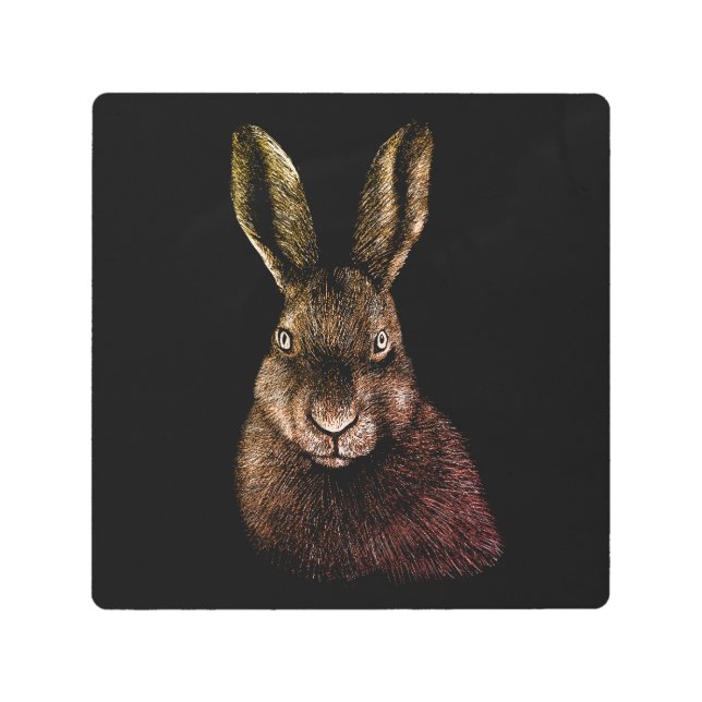 Impresión En Metal Liebre, conejo, dibujo (Anverso)