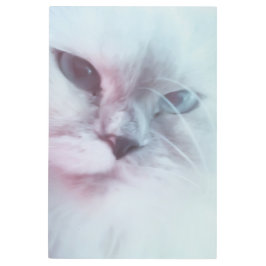 Impresión En Metal Lilly