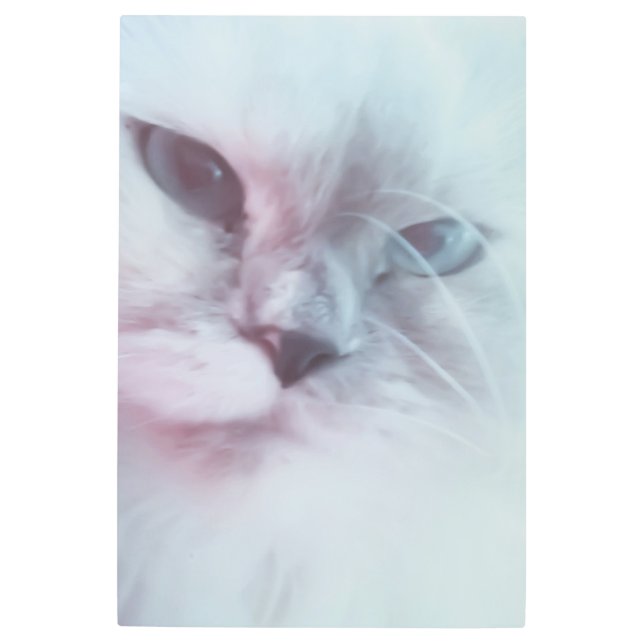 Impresión En Metal Lilly (Anverso)