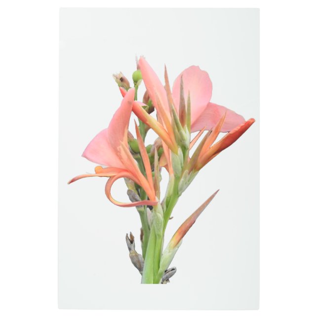 Impresión En Metal Lily Flower (Anverso)