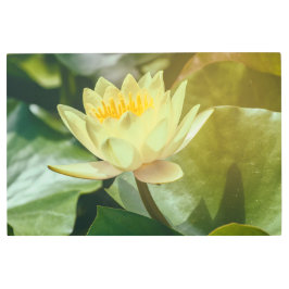 Impresión En Metal Lirio de agua amarillo