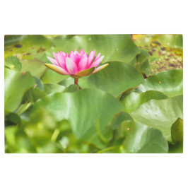 Impresión En Metal Lirio de agua rosa