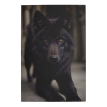 Lobo negro de la catedral 10