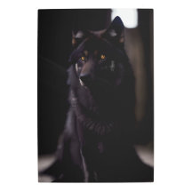 Lobo negro de la catedral 8