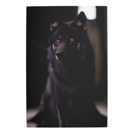 Impresión En Metal Lobo negro de la catedral 8