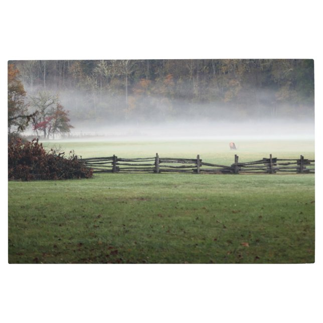 Impresión En Metal Lone Bull Elk in the morning Mist (Anverso)