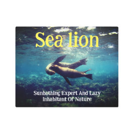 Impresión En Metal Los leones marinos bajo el agua