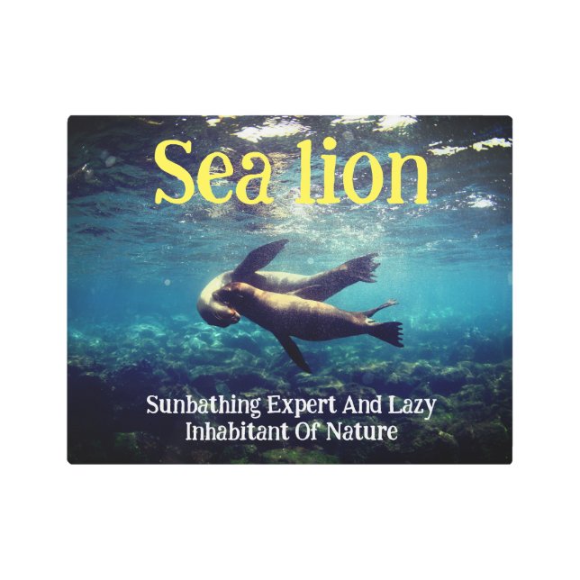 Impresión En Metal Los leones marinos bajo el agua (Anverso)