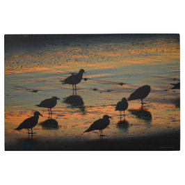 Impresión En Metal Los observadores