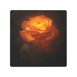 Impresión En Metal Luminous Orange Rose on Black Velvet – Elegant Flo