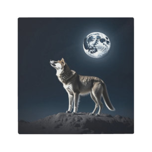 Impresión En Metal Luna llena brillando en el lobo