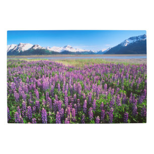 Impresión En Metal Lupines en flor   Montañas Kenai, Alaska