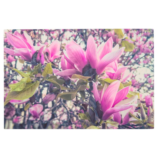 Impresión En Metal Magnolias rosadas (Anverso)