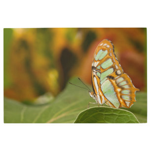 Impresión En Metal Malaquita en la hoja