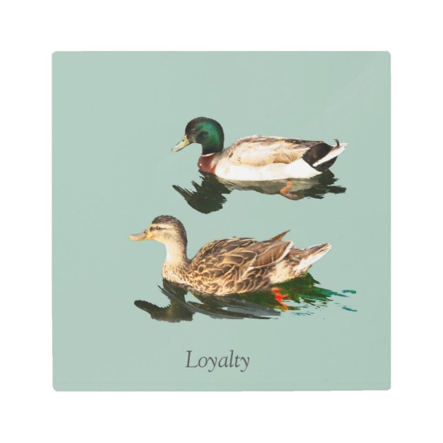 Impresión En Metal Mallas de los Ducks (Anverso)